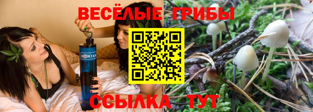 Псилоцибиновые грибы ЛСД  купить  сайты  Будённовск  Вход с VPN  Галлюциногенные грибы прущие грибы 